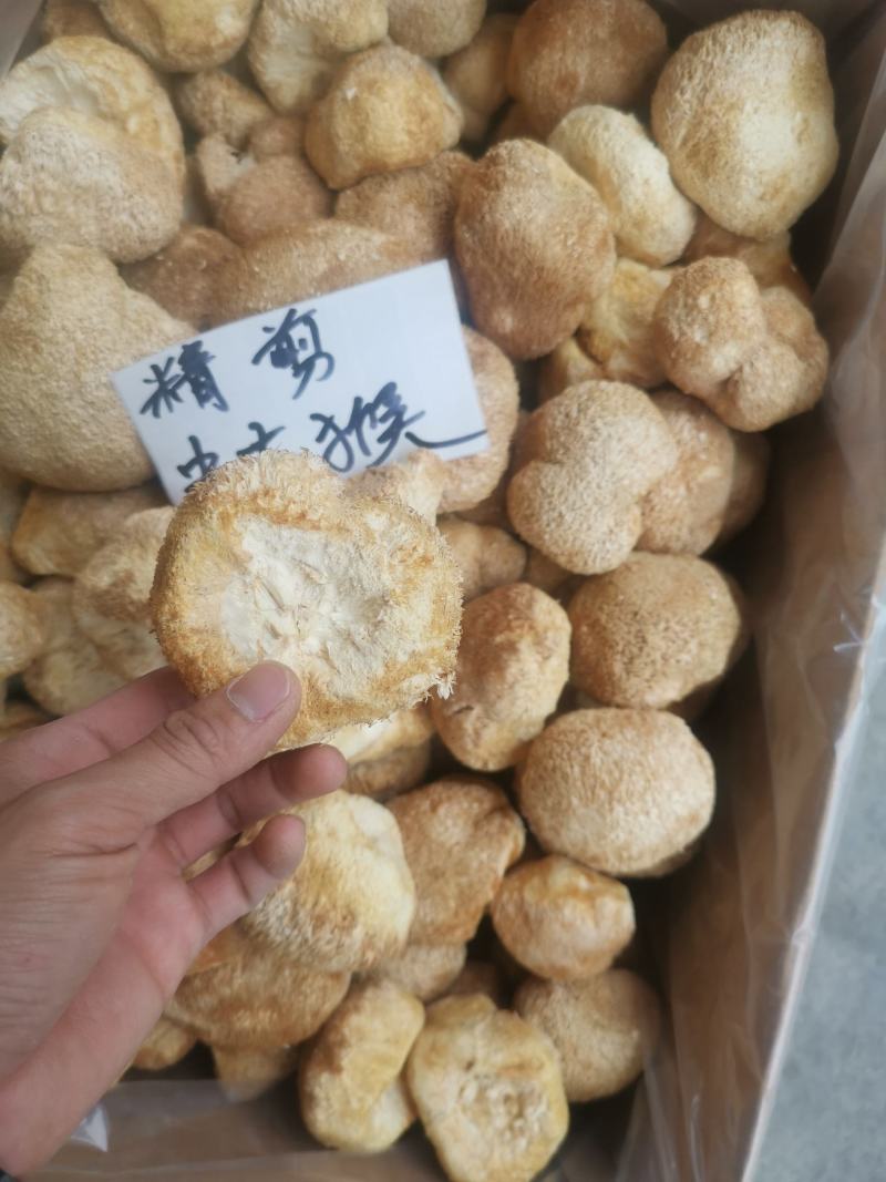 精剪头【中大个】猴头菇无硫干净非常香味道纯正【靓】