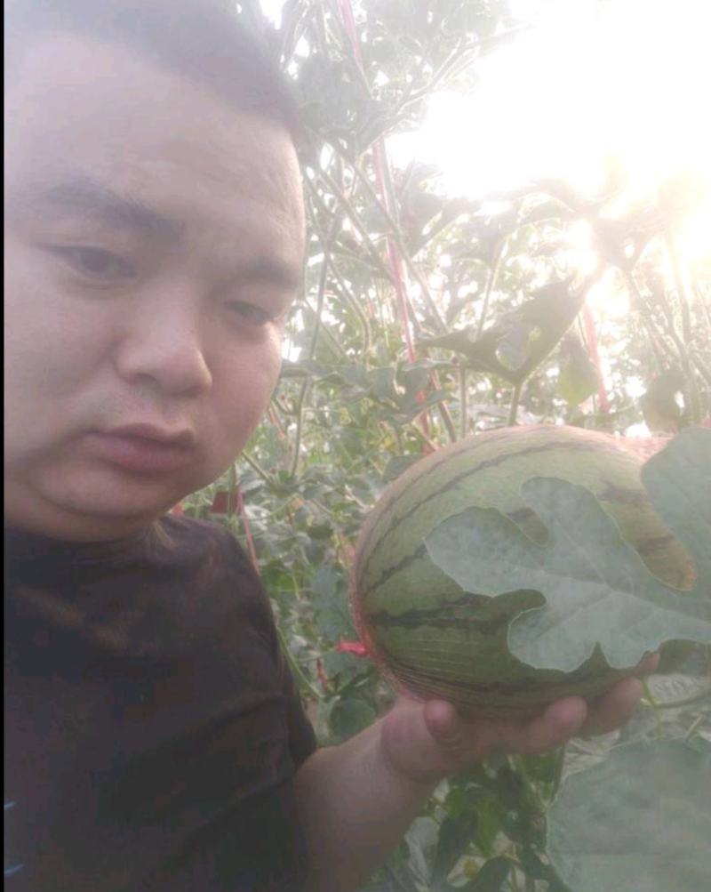 吊篮西瓜
