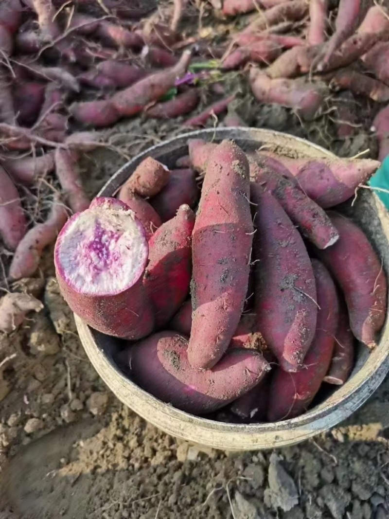 广东高州本地冰淇淋番薯需要大量的联系我