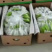 碎米、香蕉、火龙果、菠萝蜜、榴莲、木炭