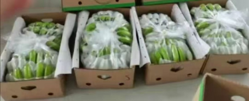 碎米、香蕉、火龙果、菠萝蜜、榴莲、木炭