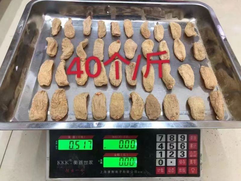 【云南小草坝天麻】：足干无硫饱满均匀烤干或冻香味浓