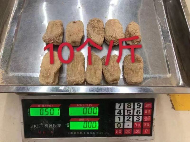 【云南小草坝天麻】：足干无硫饱满均匀烤干或冻香味浓