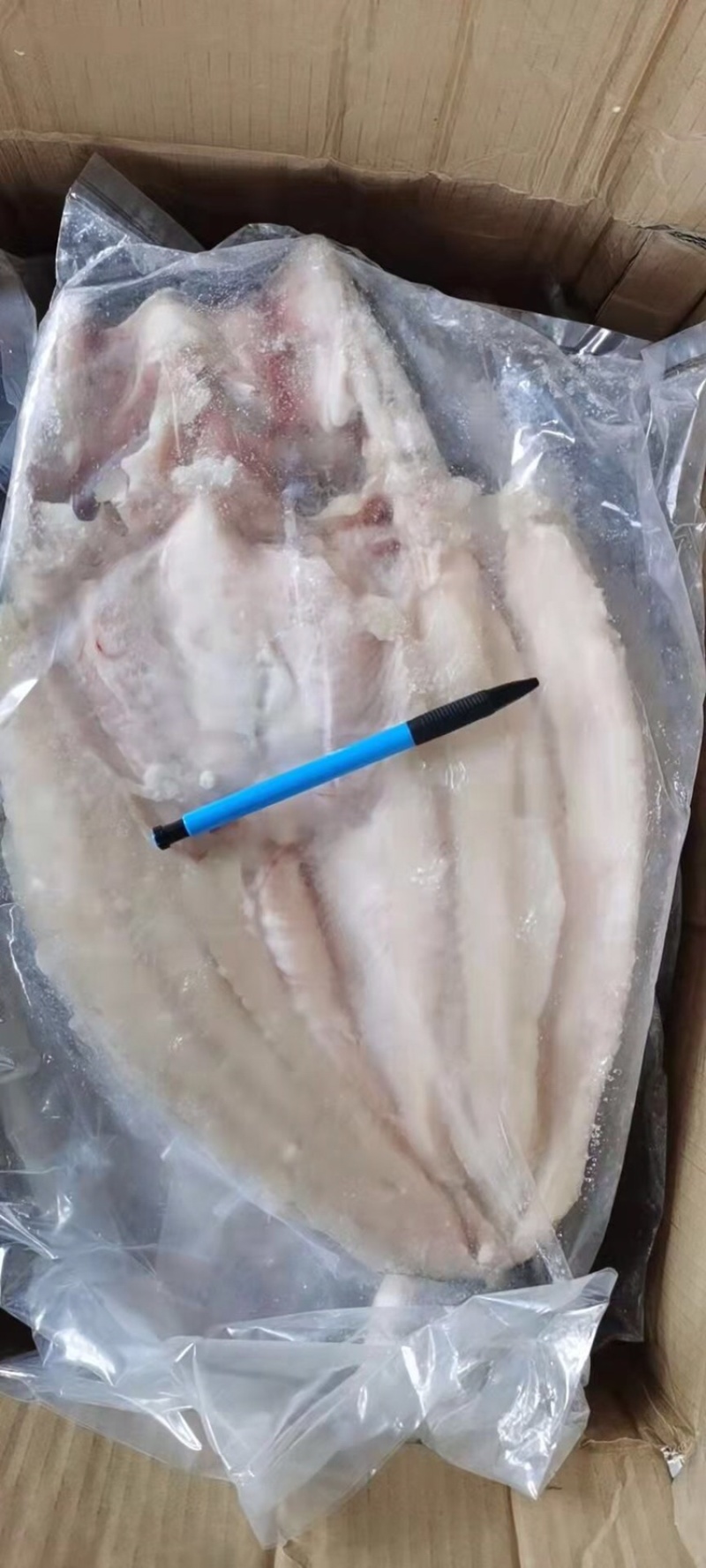开背巴沙鱼