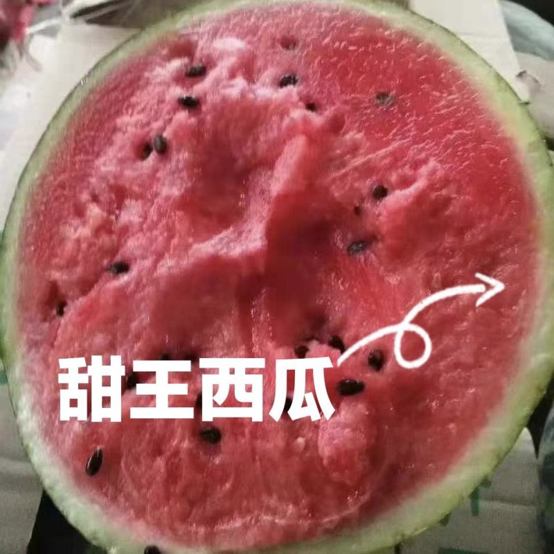 山东聊城许营产地西瓜代办代发全国西瓜小石