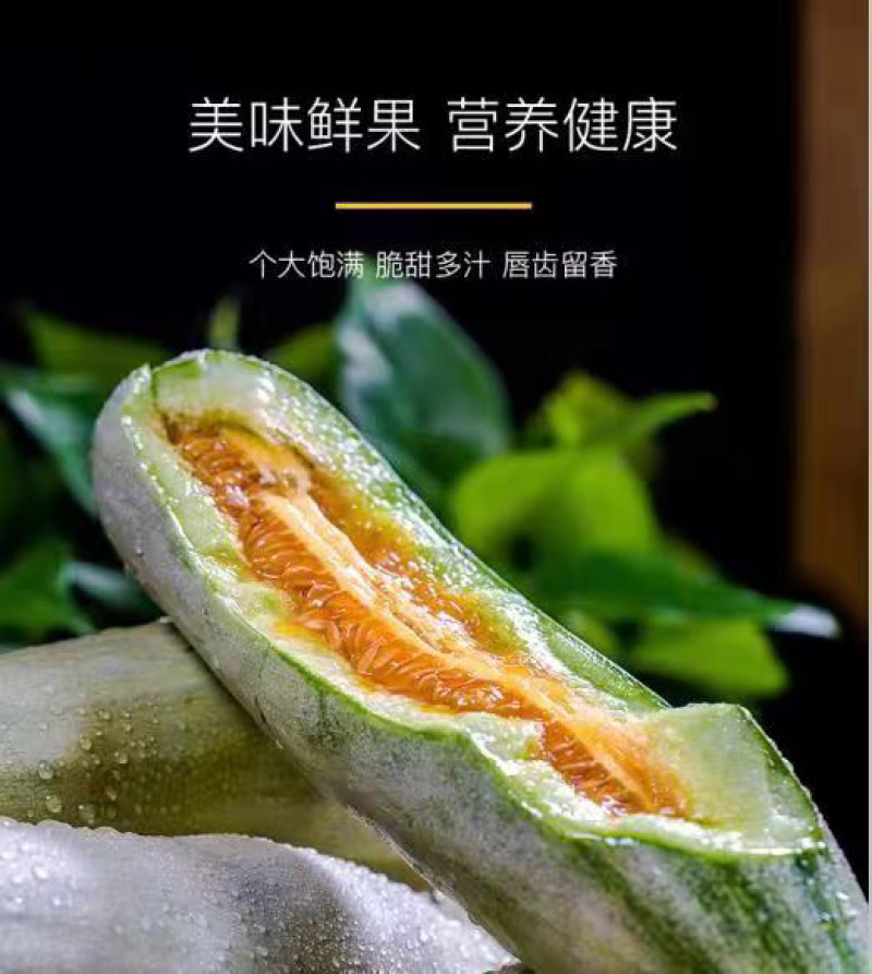 博洋61，博洋蜜瓜