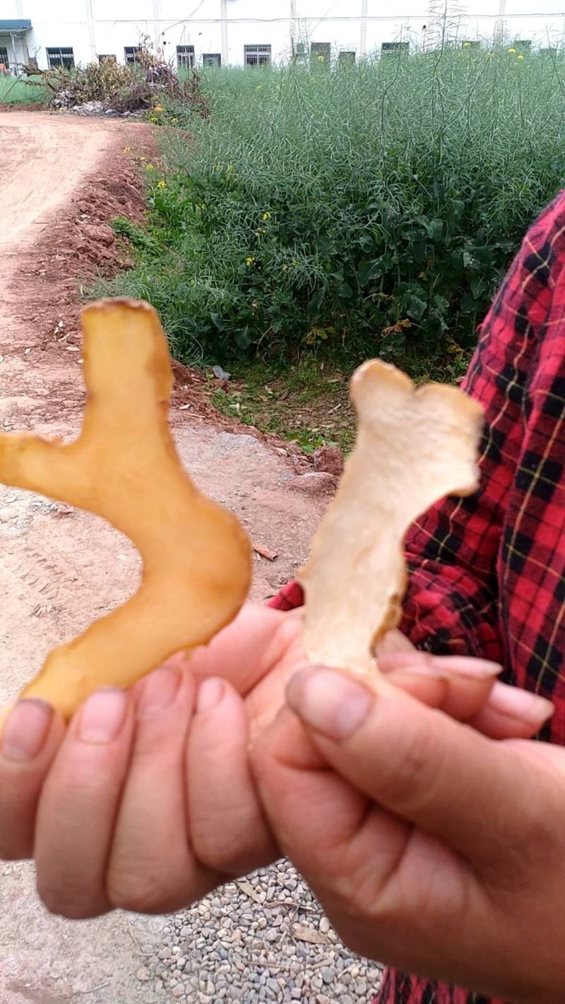 出售黄精片，生片，熟片都有。产地一手货源，品质优良。