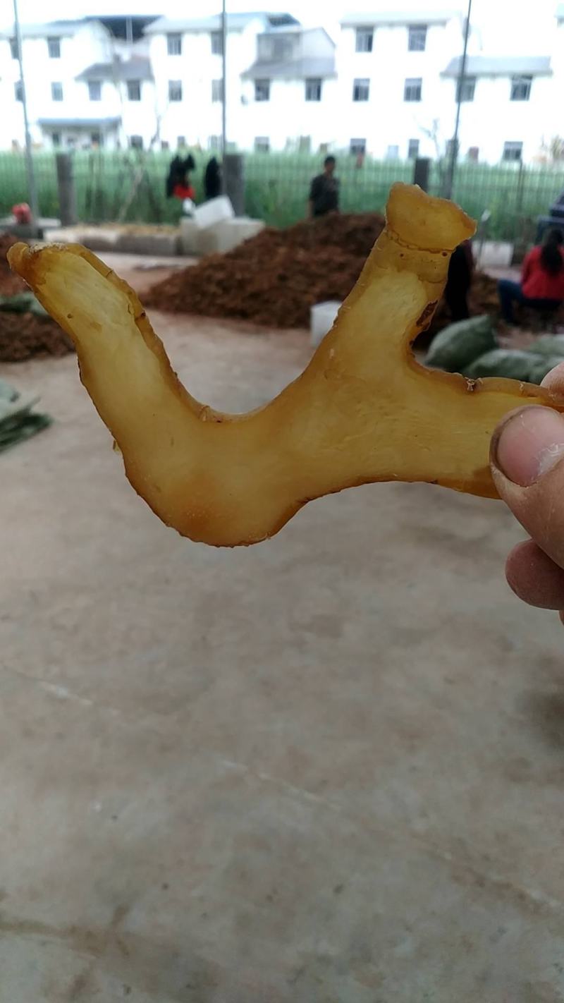 出售黄精片，生片，熟片都有。产地一手货源，品质优良。
