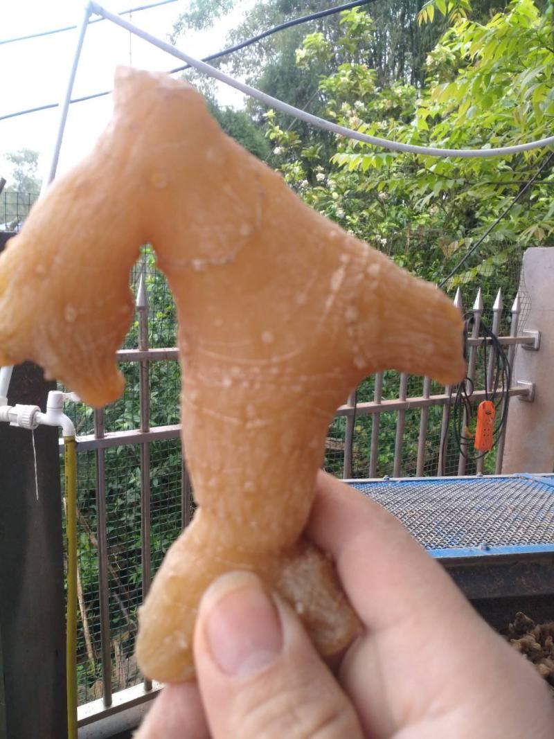 大量出售黄精干货！各种规格的个子都有，欢迎咨询。