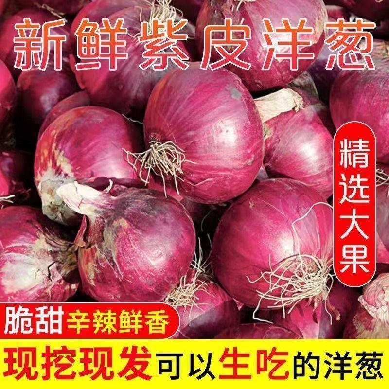 河南洋葱大量供应，电商市场都可走货，欢迎老板联系