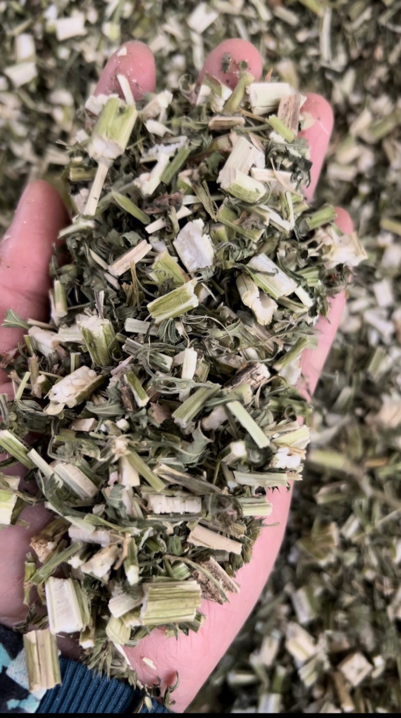 益母草野生各种规格中药用，益母草无硫磺熏