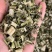 益母草野生各种规格中药用，益母草无硫磺熏