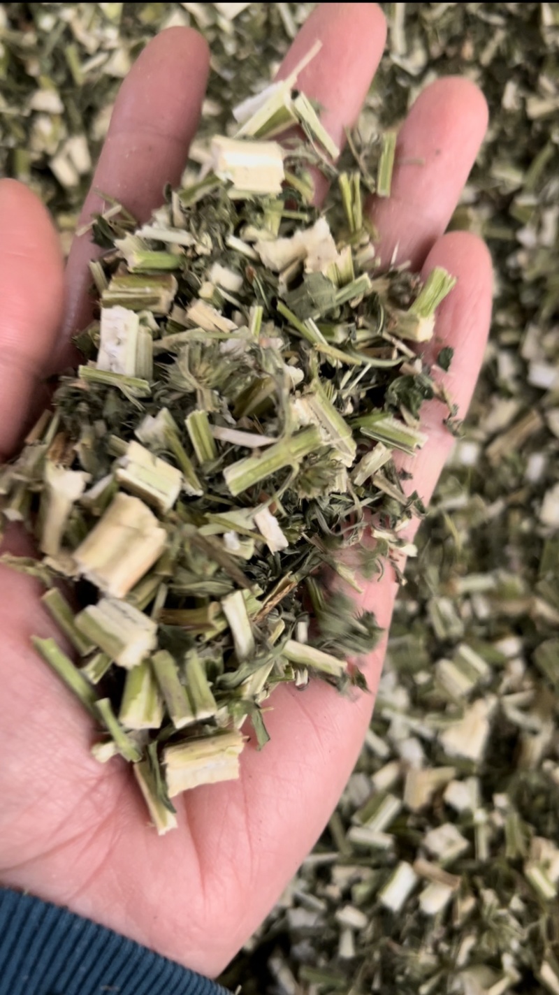 益母草野生各种规格中药用，益母草无硫磺熏