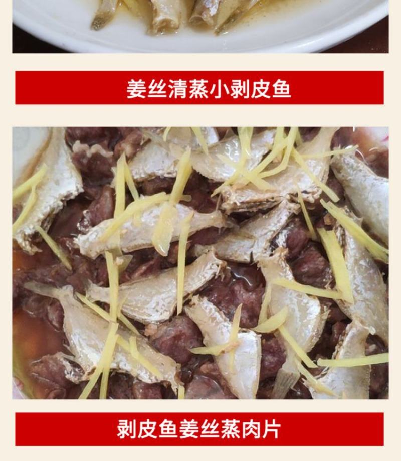北部湾剥皮鱼马面鱼猛牛鱼迪仔鱼洋仔小鱼干地摊走量产品