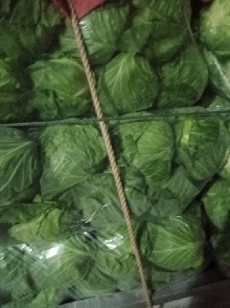 露地甘监大量上市，有要的联系，产地直销，价格便宜