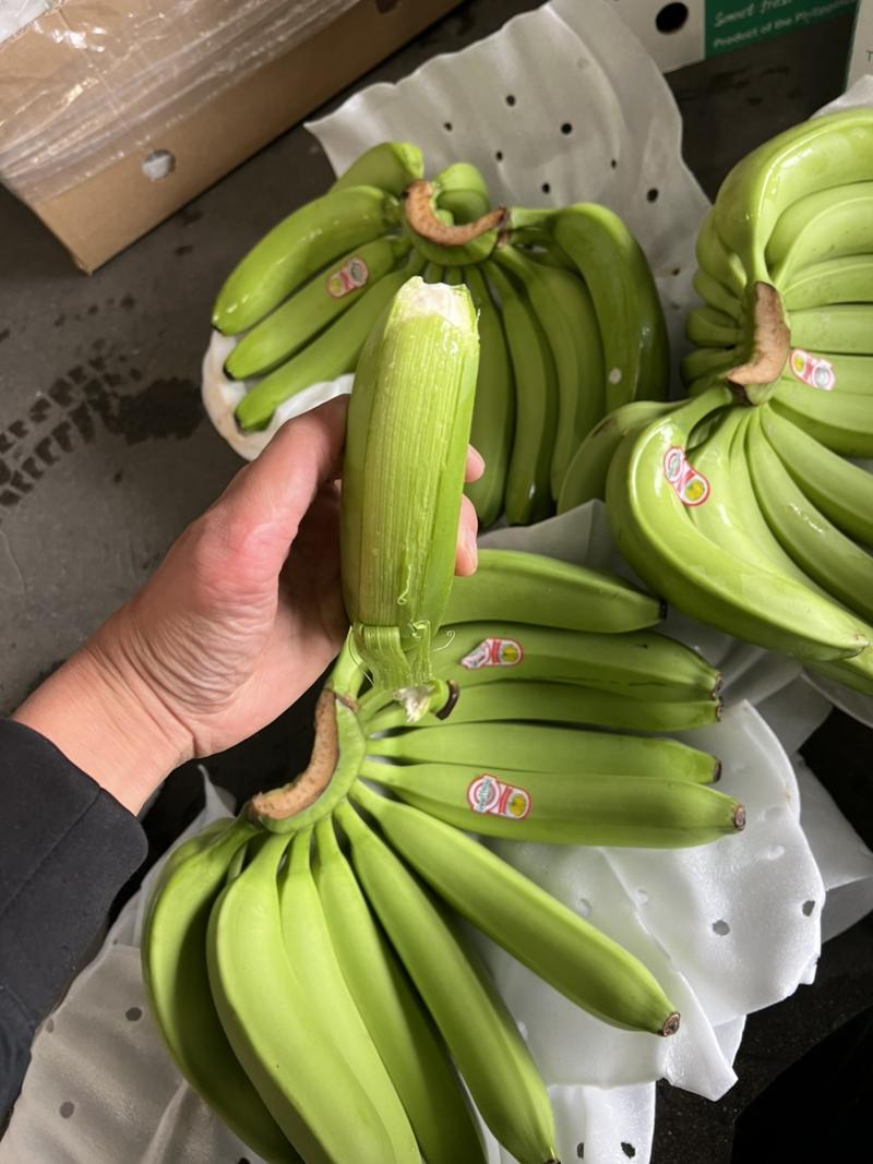 香蕉现货供应，不受寒无花皮4证齐全黄金蕉可发全国