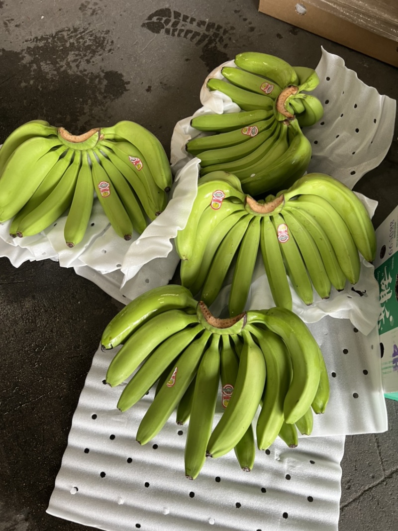 香蕉现货供应，不受寒无花皮4证齐全黄金蕉可发全国