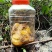 高山石洞里纯野生中蜂蜂蜜