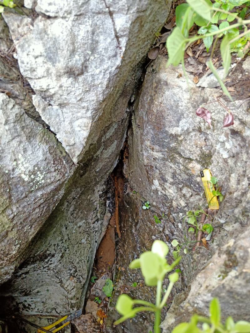 高山石洞里纯野生中蜂蜂蜜