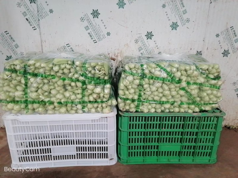 油菜快菜