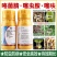 花生拌种剂吡虫啉咯菌腈精甲霜噻呋防虫蛴螬蚜虫白绢病根腐病