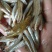 棍子鱼，河虾！兰刀