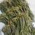 贵州大山蕨菜鲜货包邮