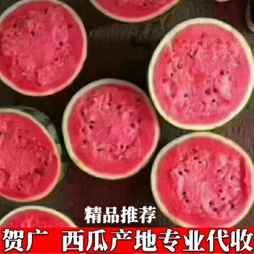 【精品】甜王西瓜大量上市今日价格产地一手货原代发