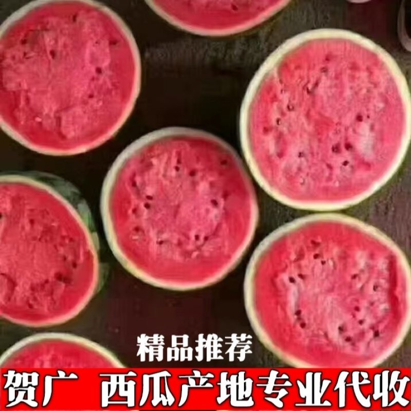 【精品】甜王西瓜大量上市今日价格产地一手货原代发