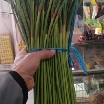 蒜苔上市中，欢迎来聊城大张，收购，可入库，发市场，均可，