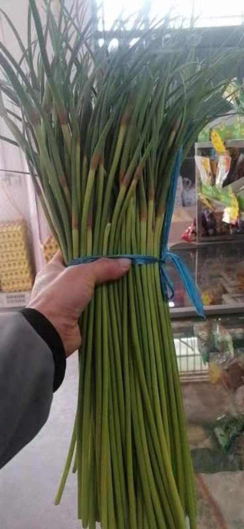 蒜苔上市中，欢迎来聊城大张，收购，可入库，发市场，均可，
