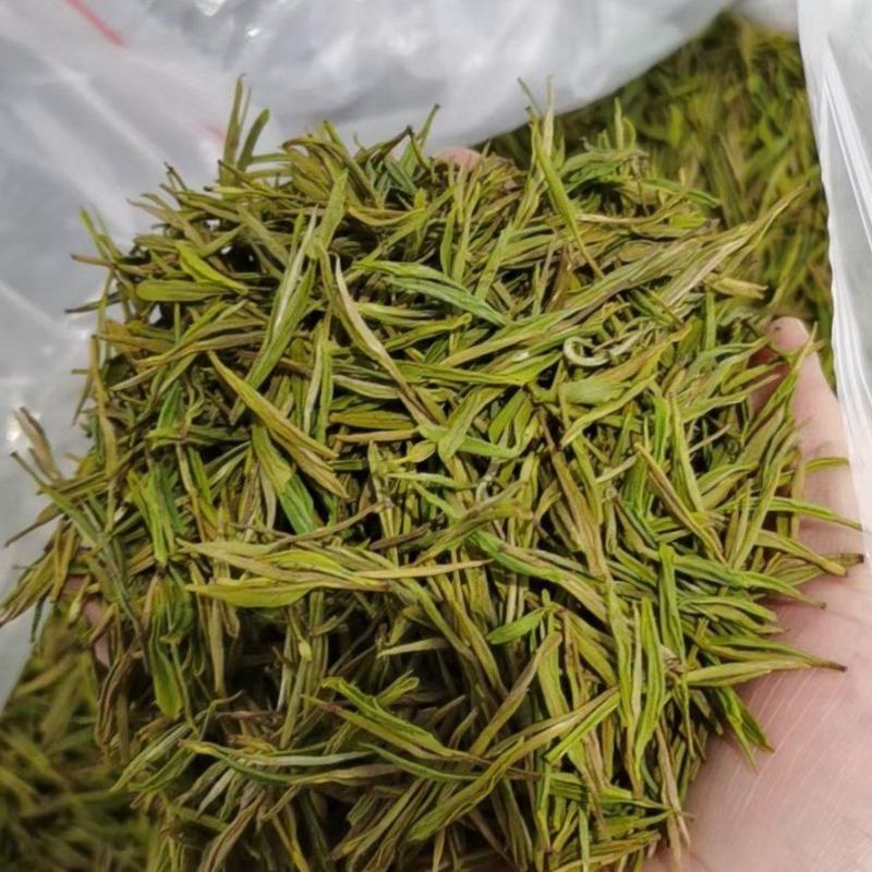 供应湖北边远农村恩施山区茶叶农村茶叶黄金芽