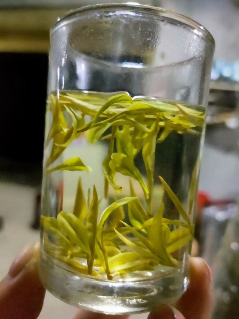 供应湖北边远农村恩施山区茶叶农村茶叶黄金芽