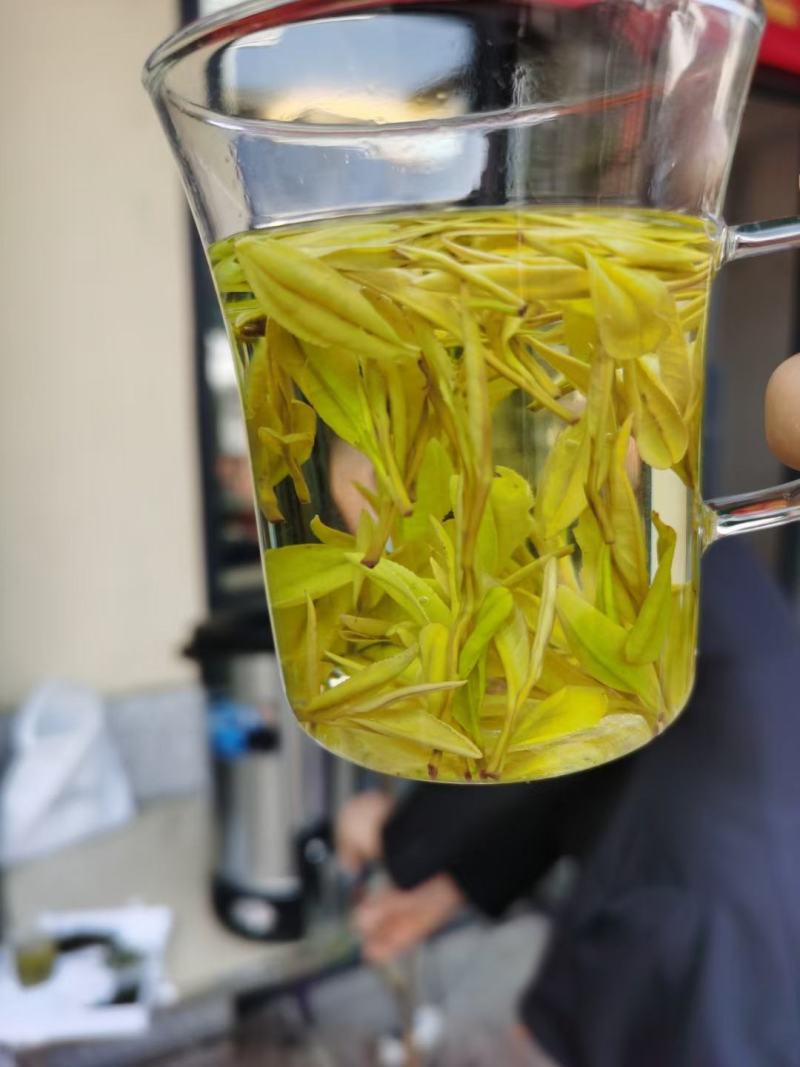 供应湖北边远农村恩施山区茶叶农村茶叶黄金芽