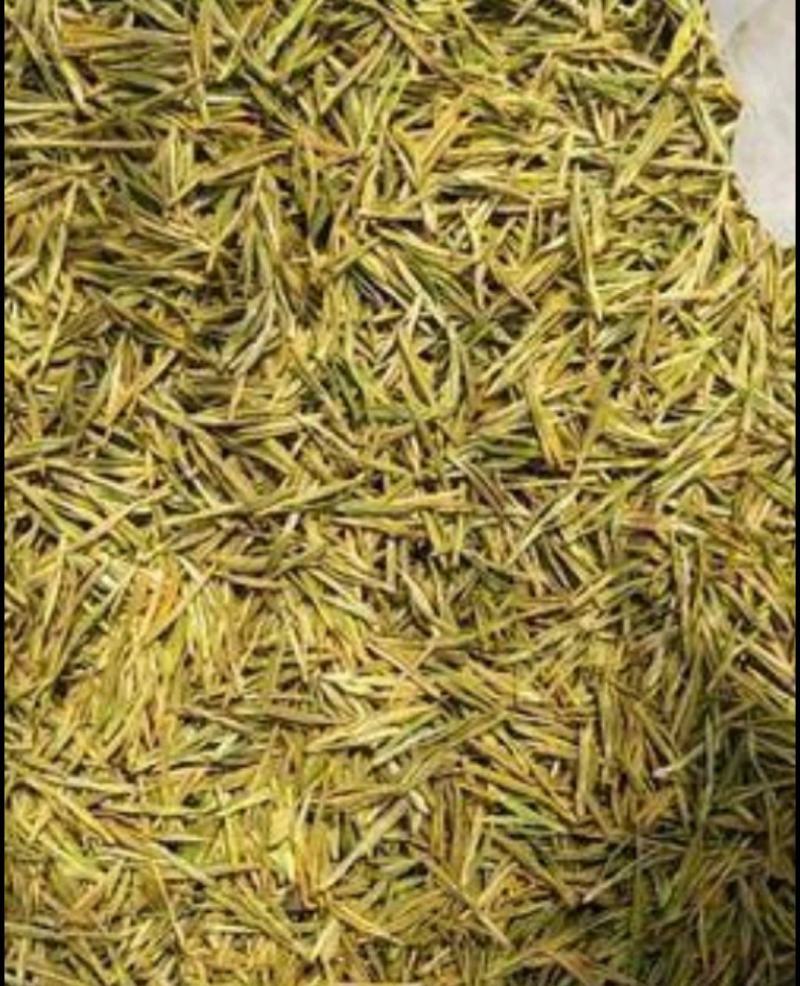 供应湖北边远农村恩施山区茶叶农村茶叶黄金芽