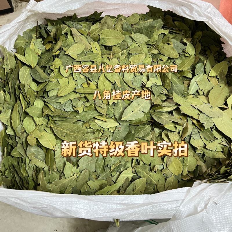 2斤起批新货特绿香叶选货片型好另卖八角桂皮花椒小茴香