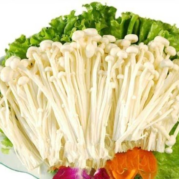 金针菇