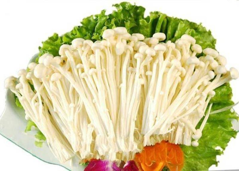 金针菇