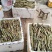 无毛高产甜象草，包邮，坏苗补发，早上砍，下午发货