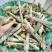 无毛高产甜象草，包邮，坏苗补发，早上砍，下午发货