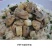 山东特产鲜嫩白芦笋，新鲜现挖头茬农家自种特级精品芦笋批发