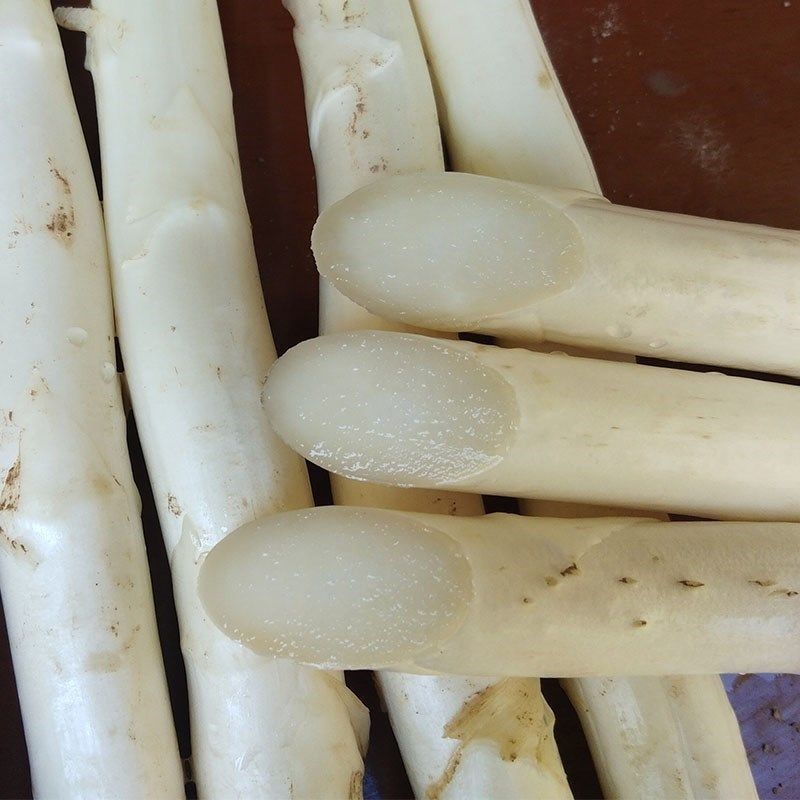 山东特产鲜嫩白芦笋，新鲜现挖头茬农家自种特级精品芦笋批发