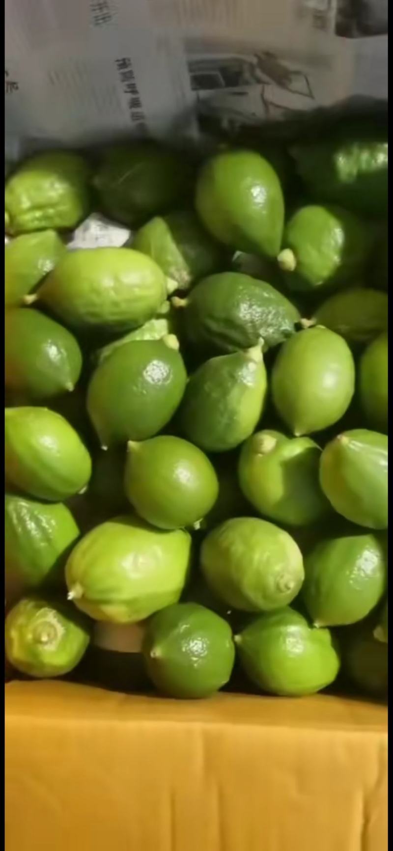 广东无籽香水柠檬
