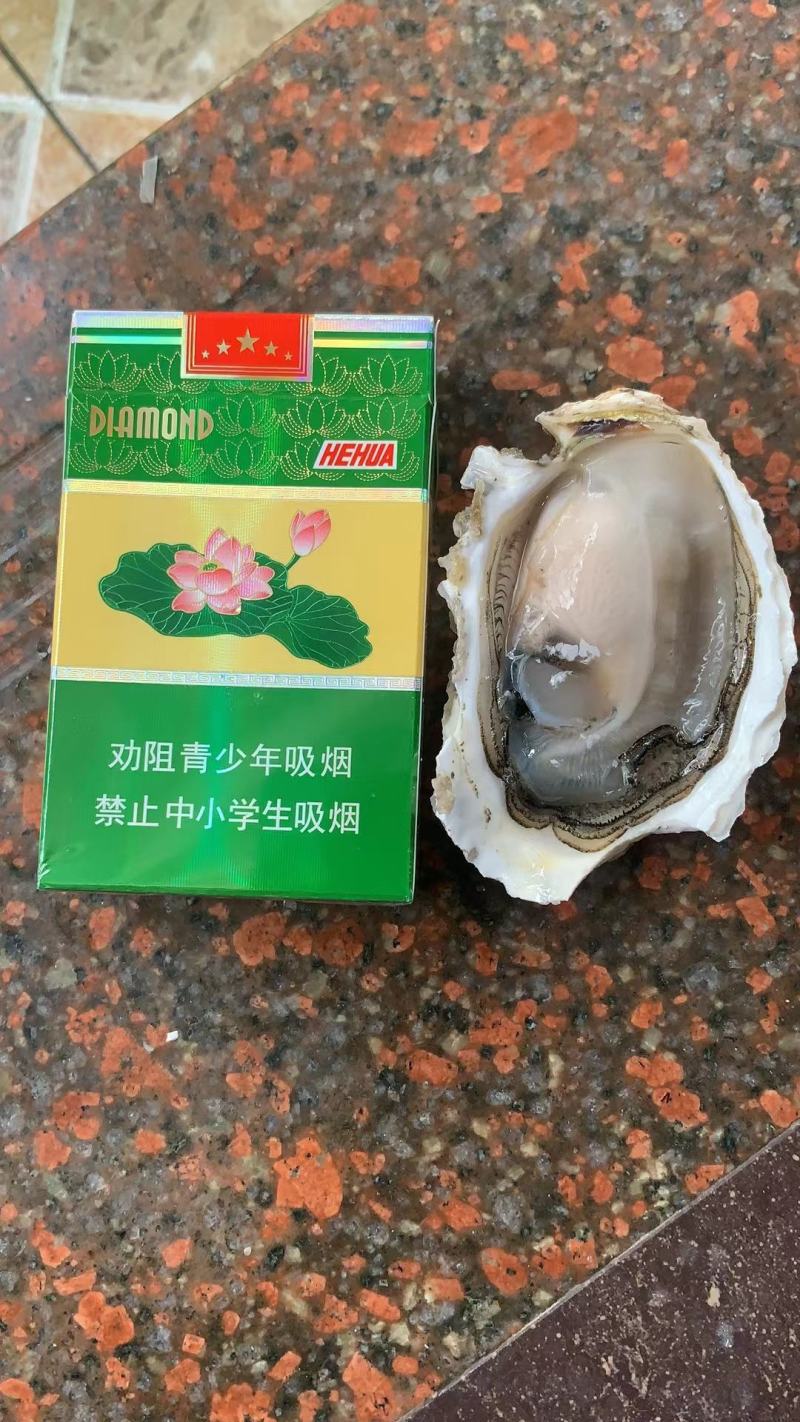 潮汕生蚝，南澳生蚝