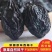 新疆西梅干，新疆特产，欢迎品尝