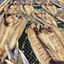 山东咸鱼咸刀鲅开背去内脏食堂饭店直供有盐