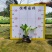 【玉簪白鹤花白玉簪玉春棒】各种规格欢迎咨询详谈