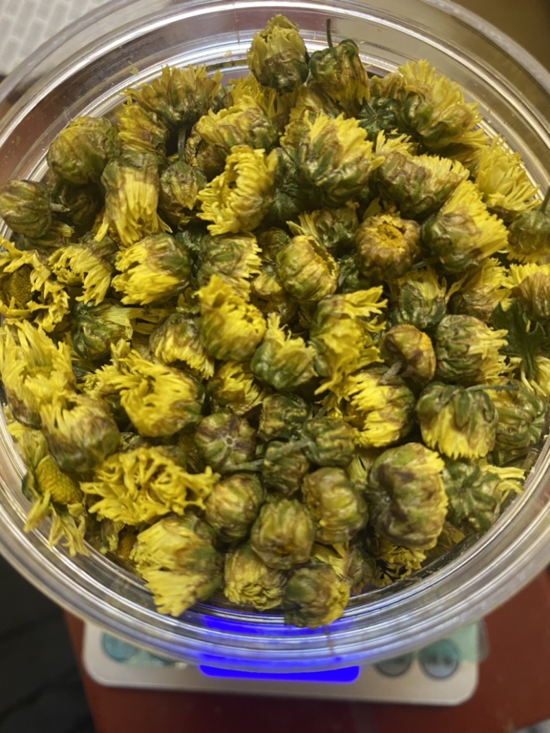杭白菊胎菊无硫磺熏无农药；全程人工除草采摘全国发