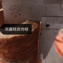 广西高山去皮肉桂货源充足量大从优品质保证