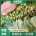 山东菠菜苗一手货源基地现挖现发量大优惠